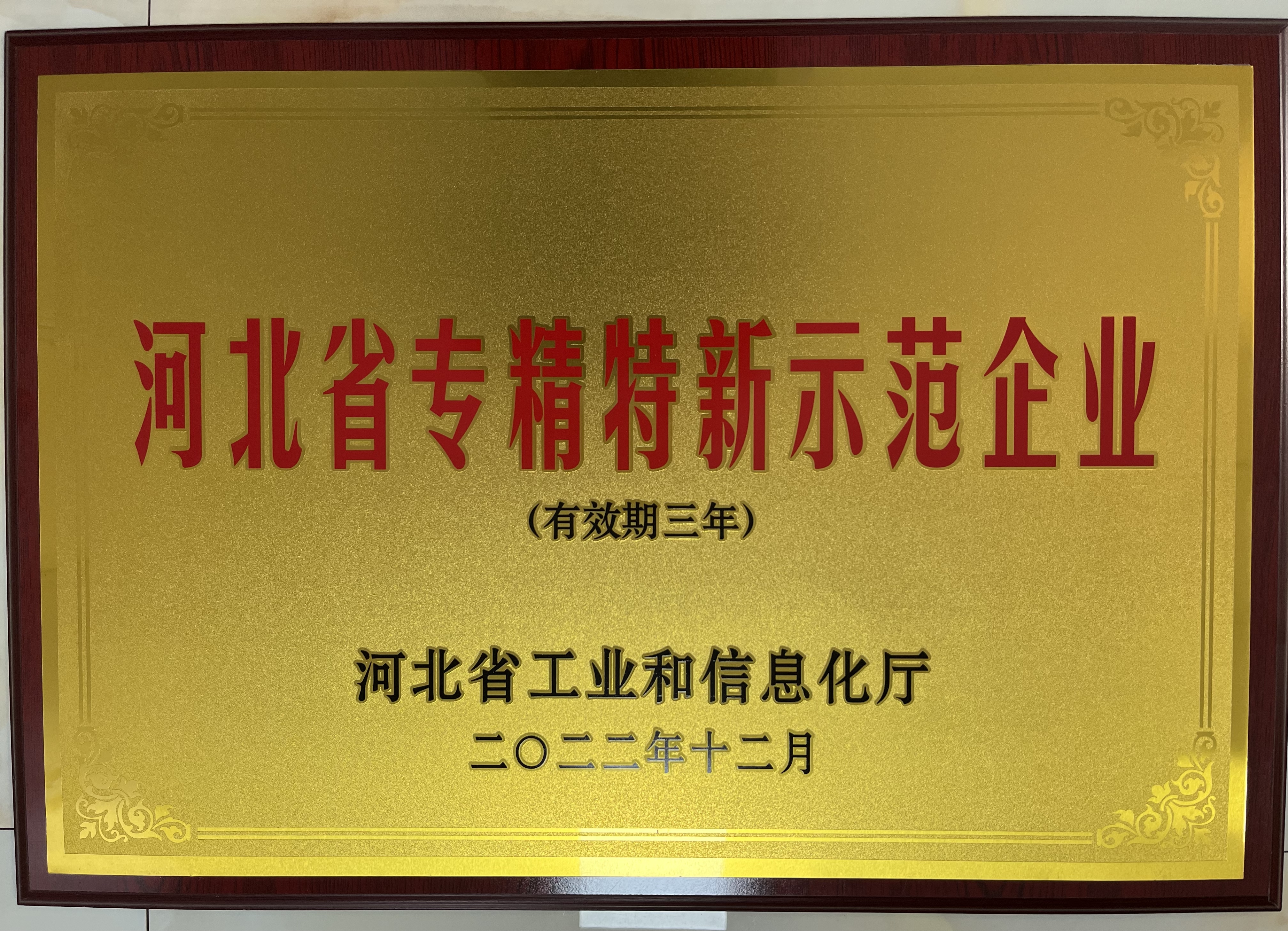 河北美星：入選2022年河北省專精特新示范企業